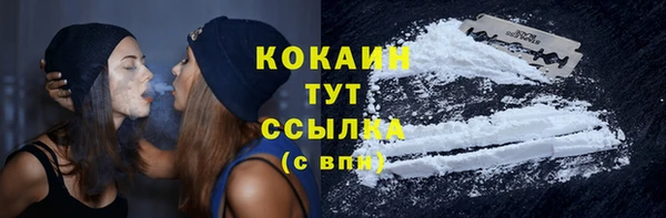 сатива Гусь-Хрустальный