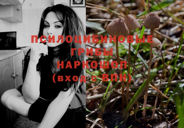 первитин Гусиноозёрск