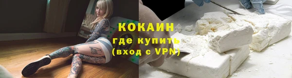 сатива Гусь-Хрустальный