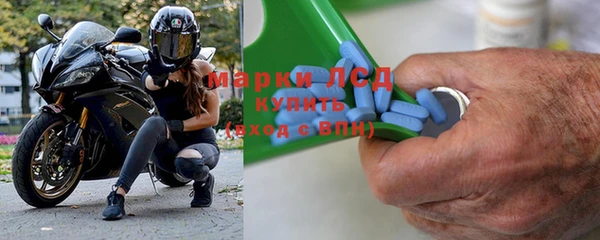 сатива Гусь-Хрустальный