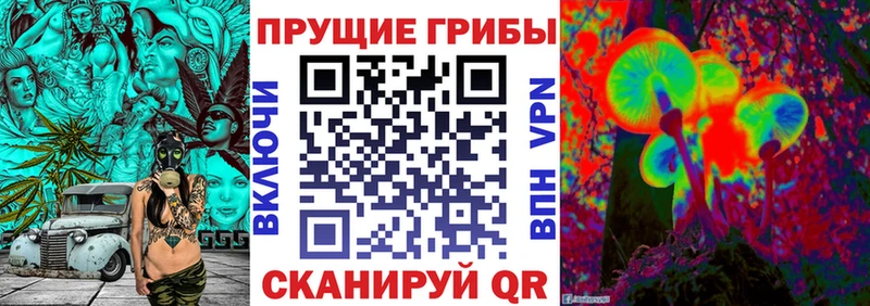 Купить  Карасук  Псилоцибиновые грибы MAGIC MUSHROOMS 